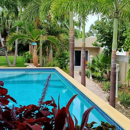 Hibiscus Beach House Jan Thiel Εξωτερικό φωτογραφία